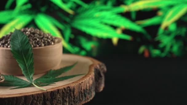 Cannabiszaad Houten Kom Met Wazige Achtergrond Van Tuin Van Geteelde — Stockvideo