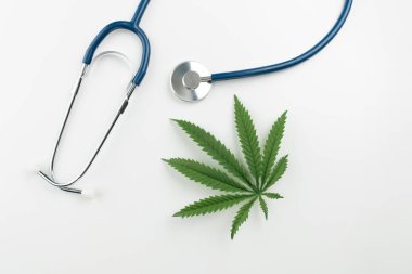 Steteskopun yanında yeşil sativa keneviri yaprağı yatıyordu. Tıbbi amaçlar için yasallaştırılmış marihuana kavramı. Esrar, sağlık ve tıpta hastalıkların tedavisinde kullanılıyor.