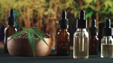 Kenevir bitkisinden yasal marihuana ürünleri, kenevir yaprağı. Çeşitli boyutlarda bir CBD yağ şişesi, kenevir yaprağı ile ahşap bir kase tohumları ve kopyalama alanı için kenevir bitkisi arka planı.