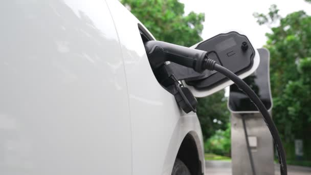 Keberlanjutan Konsep Energi Yang Progresif Dengan Parkir Mobil Listrik Dan — Stok Video