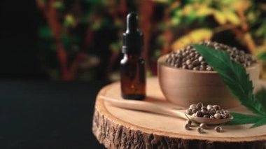 Ahşap kasede bulunan kenevir tohumu bahçedeki yetiştirilmiş kenevir bitkisinin bulanık arka planına sahip yasal yetiştirme tesisinde, kapalı alandaki kenevir tarlasında. Tıbbi amaçlar için kapalı alandaki çiftlikte kenevir tohumu..