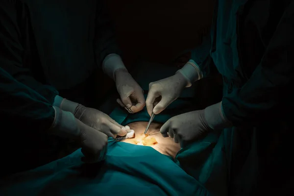 Equipo Quirúrgico Primer Plano Realizando Cirugía Paciente Quirófano Estéril Una — Foto de Stock