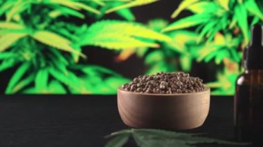 Kenevir bitkisinden yasal marihuana ürünleri, kenevir yaprağı. Çeşitli boyutlarda bir CBD yağ şişesi, kenevir yaprağıyla kenevir tohumu dolu ahşap bir kase ve kopyalama alanı için kenevir bitkisi arka planı. Çekim