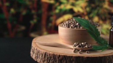 Ahşap kasede bulunan kenevir tohumu bahçedeki yetiştirilmiş kenevir bitkisinin bulanık arka planına sahip yasal yetiştirme tesisinde, kapalı alandaki kenevir tarlasında. Tıbbi amaçlar için kapalı alandaki çiftlikte kenevir tohumu..