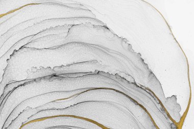 Marble ink abstract art from meticulous original painting abstract background . Painting was painted on high quality paper texture to create smooth marble background pattern of ombre alcohol ink .
