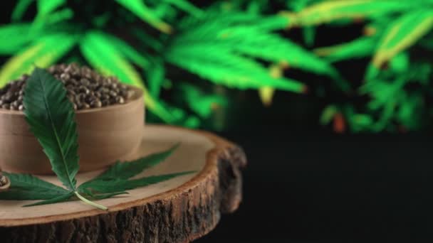 Ahşap Kasede Bulunan Kenevir Tohumu Bahçedeki Yetiştirilmiş Kenevir Bitkisinin Bulanık — Stok video