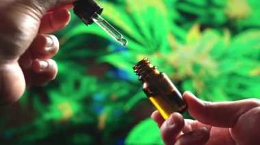 Yakından bir şişe yağlı kenevir tutarken ve damlacıkları kabın içine düşerken ölçerken kullanırken. Tıbbi kullanım için kenevir yaprağından CBD yağına kadar yasallaştırılmış esrar ürünleri.