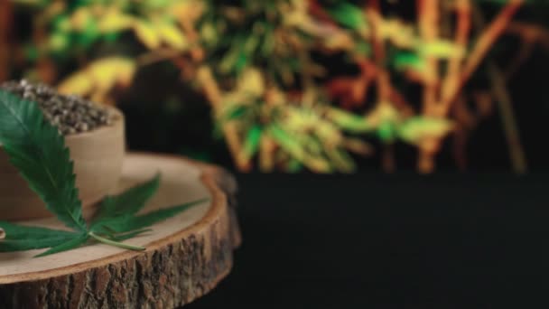 Semilla Cannabis Tazón Madera Con Fondo Borroso Jardín Planta Cannabis — Vídeo de stock