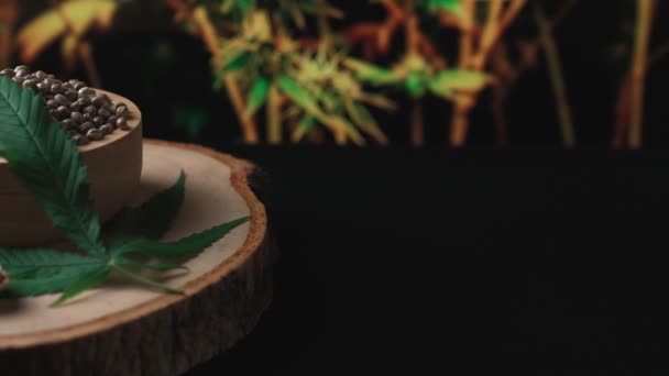 Cannabiszaad Houten Kom Met Wazige Achtergrond Van Tuin Van Geteelde — Stockvideo