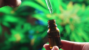 Yakından bir şişe yağlı kenevir tutarken ve damlacıkları kabın içine düşerken ölçerken kullanırken. Tıbbi kullanım için kenevir yaprağından CBD yağına kadar yasallaştırılmış esrar ürünleri.