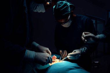 Steril ameliyathanedeki hastaya ameliyat yapan cerrahi ekip. Bir lambanın yaktığı ameliyathanede, profesyonel ve kendinden emin bir cerrahi ekip bilinçsiz bir hastaya tıbbi bakım sağlar..