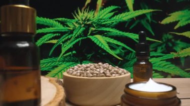 Doğal cilt bakım ürünü. Esrar laboratuarında üretiliyor. CBD yağı, kenevir tohumu ve kenevir bitkisi bahçeli masada nemlendirici krema kavanozu ürünü. Kopyalama alanı