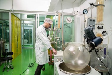 Kimyasal süreçleri kullanarak esrar, CBD yağı ve tentürleri çıkaran bir kimyager ya da eczacı. Tıbbi kenevir üretim tesisi. Kenevir yağı çıkarma makinesi ve ekipmanı.