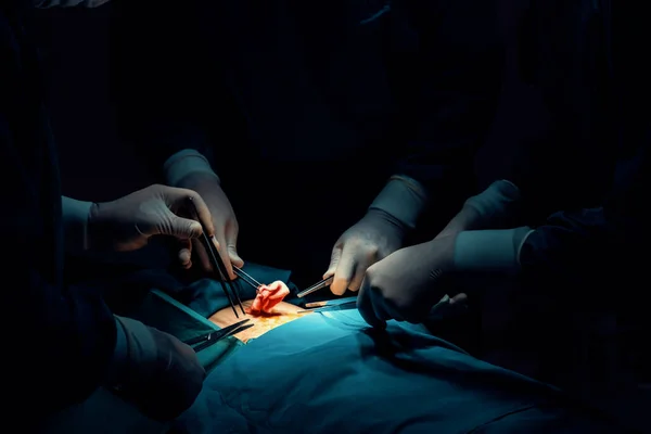Kirurgiska Team Som Utför Kirurgi Till Patienten Sterila Operationssalen Ett — Stockfoto