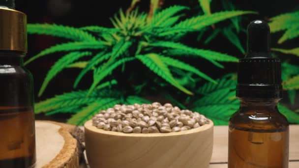 Producto Cosmético Natural Para Cuidado Piel Producido Laboratorio Legalizado Cannabis — Vídeos de Stock