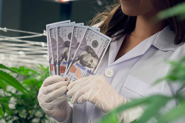 Closeup Female Scientist Holding Dollar Banknotes Money Gratifying Profiting Selling — Stock Photo, Image