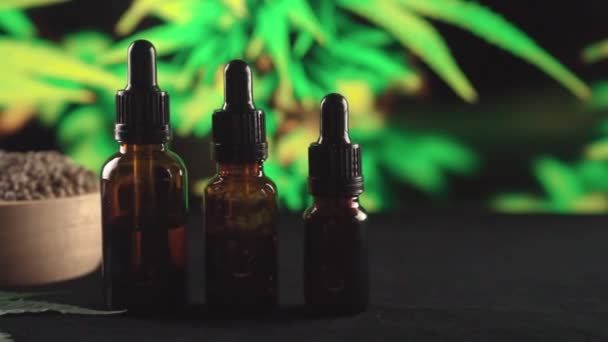 Kenevir Bitkisinden Yasal Marihuana Ürünleri Kenevir Yaprağı Çeşitli Boyutlarda Bir — Stok video