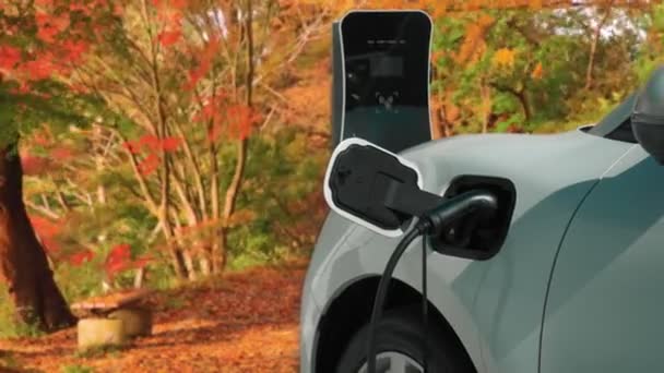 Progresywna Koncepcja Ekologiczności Samochodu Elektrycznego Samochód Zasilany Czystą Zrównoważoną Energią — Wideo stockowe