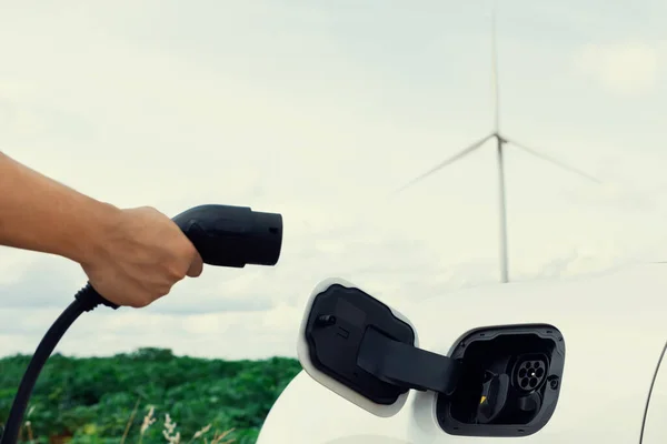 Progressive Natural Scenic Windmill Generator Hand Insert Charging Plug Electric — Stockfoto