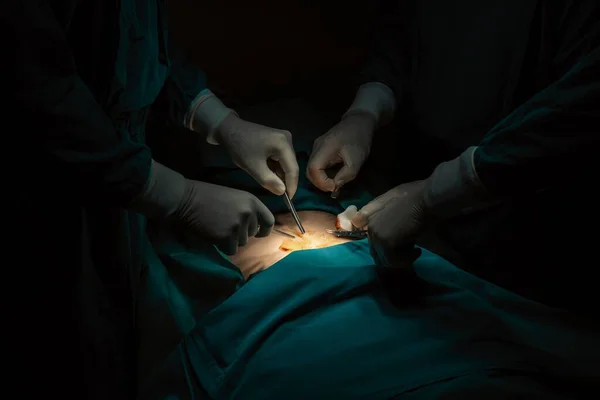 상태의 수술실에서 환자에게 수술을 수행하는 봉합하는 램프에 붙이는 수술실에서 전문적 — 스톡 사진
