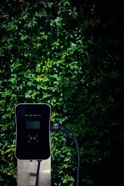 Charging station with greenery foliage background for combination of nature and alternative energy for progressive future renewable energy for electric car. Charger point with connecter device.