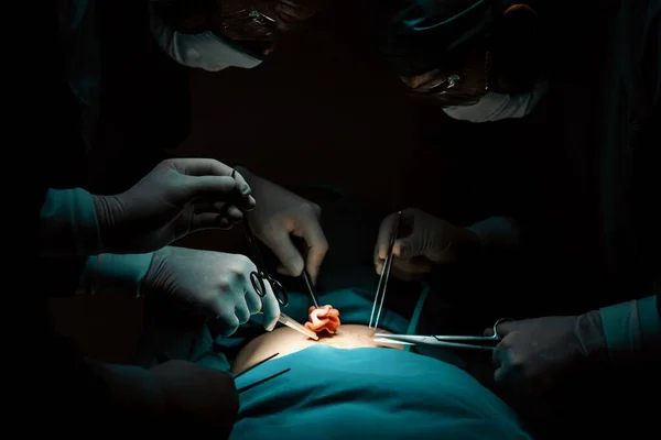 Equipo Quirúrgico Realizando Cirugía Paciente Quirófano Estéril Una Sala Cirugía —  Fotos de Stock