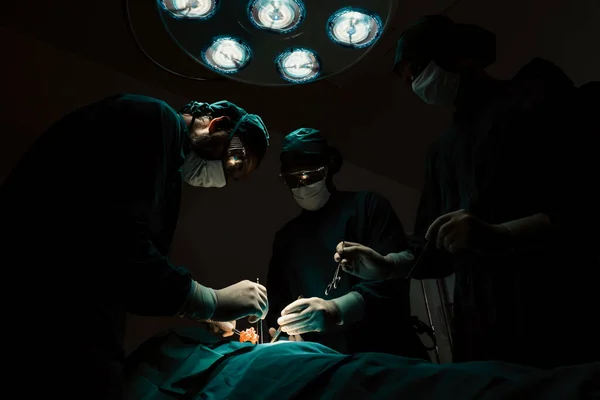 手術チームは滅菌手術室で患者に手術を行います ランプに照らされた手術室では 専門家と自信のある外科チームが無意識の患者に医療を提供します — ストック写真