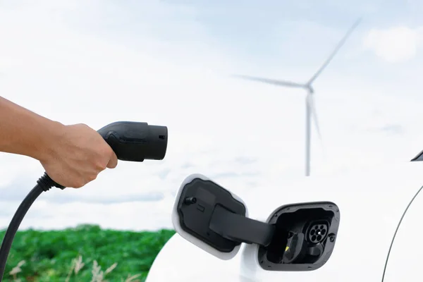 Progressive Natural Scenic Windmill Generator Hand Insert Charging Plug Electric — Stock fotografie