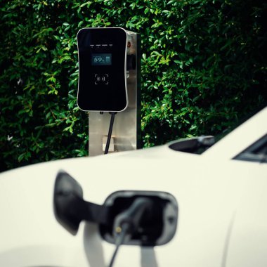 Side view of progressive electric vehicle parking next to public charging station with greenery, natural foliage background as concept for renewable and clean energy for eco-friendly car.