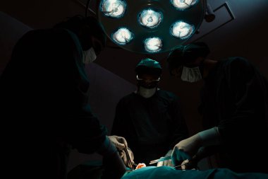 Steril ameliyathanedeki hastaya ameliyat yapan cerrahi ekip. Bir lambanın yaktığı ameliyathanede, profesyonel ve kendinden emin bir cerrahi ekip bilinçsiz bir hastaya tıbbi bakım sağlar..