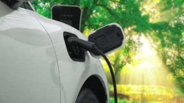 Yeşil Orman 'daki şarj istasyonundan gelen yenilenebilir ve temiz enerjiyle çalışan elektrikli araba çevresel bilincini artırmak için ilerleyen bir kampanya. Gelecekteki otomobiller için EV otomobil.