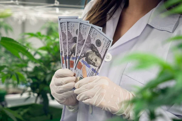 Cientista Feminina Close Segurando Notas Dólar Dinheiro Depois Gratificar Lucrando — Fotografia de Stock