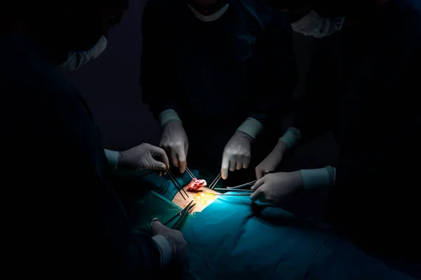 Closeup Surgical Team Performing Surgery Patient Sterile Operating Room Surgery — Stock Photo, Image