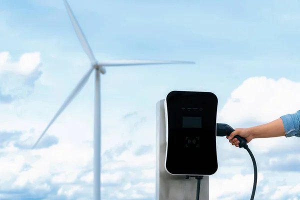 Progressive Natural Scenic Windmill Generator Hand Insert Charging Plug Electric — Fotografia de Stock