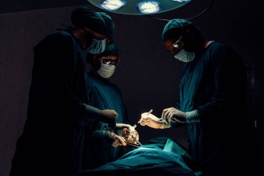 Steril ameliyathanedeki hastaya ameliyat yapan cerrahi ekip. Bir lambanın yaktığı ameliyathanede, profesyonel ve kendinden emin bir cerrahi ekip bilinçsiz bir hastaya tıbbi bakım sağlar..