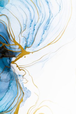 Marble ink abstract art from meticulous original painting abstract background . Painting was painted on high quality paper texture to create smooth marble background pattern of ombre alcohol ink .