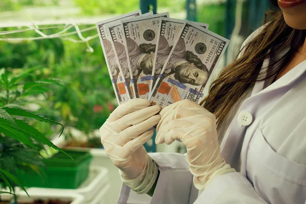 Крупним Планом Жінка Вчена Яка Тримає Доларові Банкноти Грошей Після — стокове фото