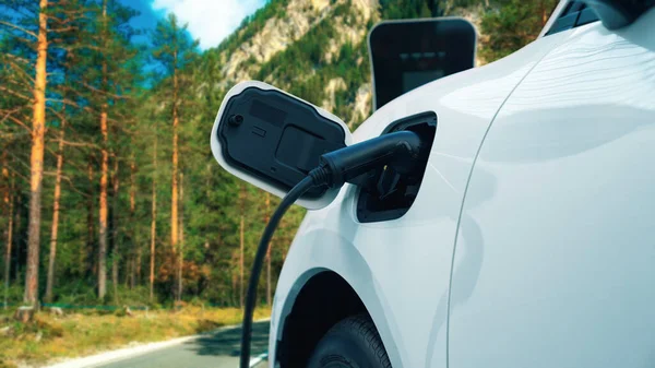 Progressive Kampagne Zur Steigerung Des Umweltbewusstseins Für Elektroautos Die Mit — Stockfoto