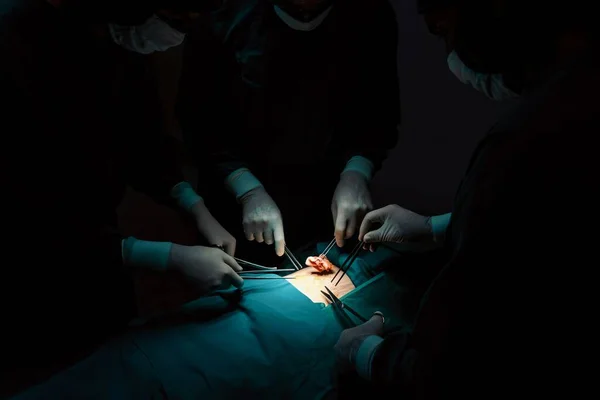滅菌手術室で患者に手術を行う外科チームを閉鎖します ランプに照らされた手術室では 専門家と自信のある外科チームが無意識の患者に医療を提供します — ストック写真