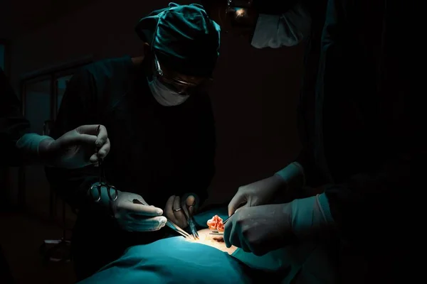 수술실에서 환자에게 수술을 있습니다 램프를 수술실에서 전문적 자신있는 의식인 환자에게 — 스톡 사진