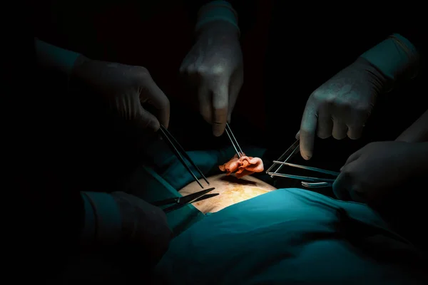 在无菌手术室为病人实施手术的闭锁外科小组 在由一盏灯点亮的手术室里 一个专业而自信的外科小组为不省人事的病人提供医疗护理 — 图库照片