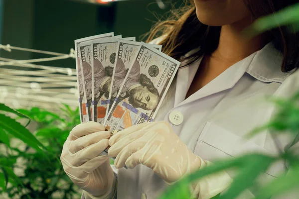 Primer Plano Científica Sosteniendo Billetes Dólar Dinero Después Gratificar Ganancia — Foto de Stock
