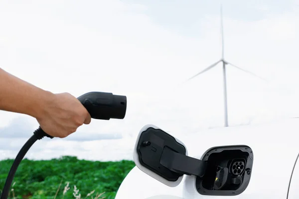 Progressive Natural Scenic Windmill Generator Hand Insert Charging Plug Electric — Photo