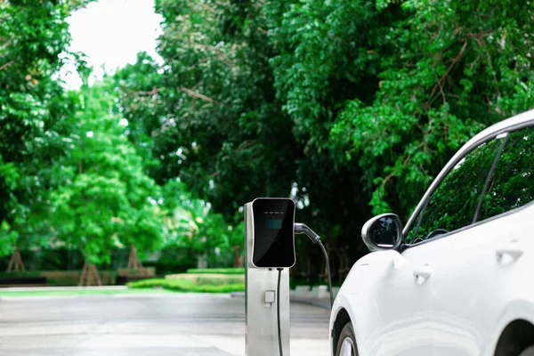 Focus Closeup Electric Vehicle Plugged Charger Device Blurred Background Public — Stockfoto