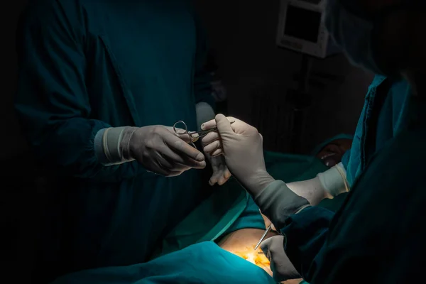 Зображення Хірургічної Команди Виконує Операцію Медсестра Вручає Стерильні Ножиці Хірургу — стокове фото
