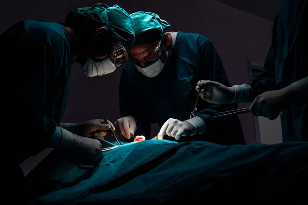 Surgical team performing surgery to patient in sterile operating room. In a surgery room lit by a lamp, a professional and confident surgical team provides medical care to an unconscious patient.