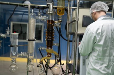 Bilim adamı ya da eczacı tıbbi ve sağlık hizmetleri için kenevir yağı çıkarıyor. Esrar ürünlerinden alınan sağlık hizmetleri eczanesi. Cam tüpler ve teçhizatlı kenevir yağı çıkarma makinesi.