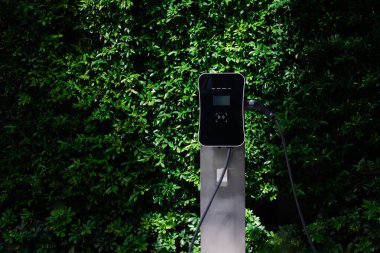 Charging station with greenery foliage background for combination of nature and alternative energy for progressive future renewable energy for electric car. Charger point with connecter device.