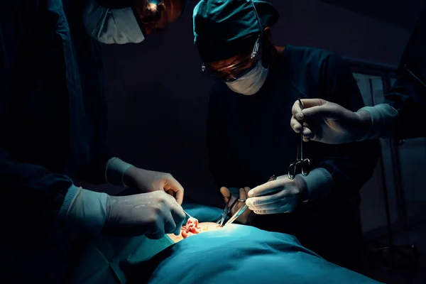 Хірургічна Команда Яка Виконує Операцію Пацієнта Стерильній Операційній Кімнаті Хірургічній — стокове фото