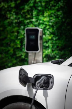 Side view of progressive electric vehicle parking next to public charging station with greenery, natural foliage background as concept for renewable and clean energy for eco-friendly car.